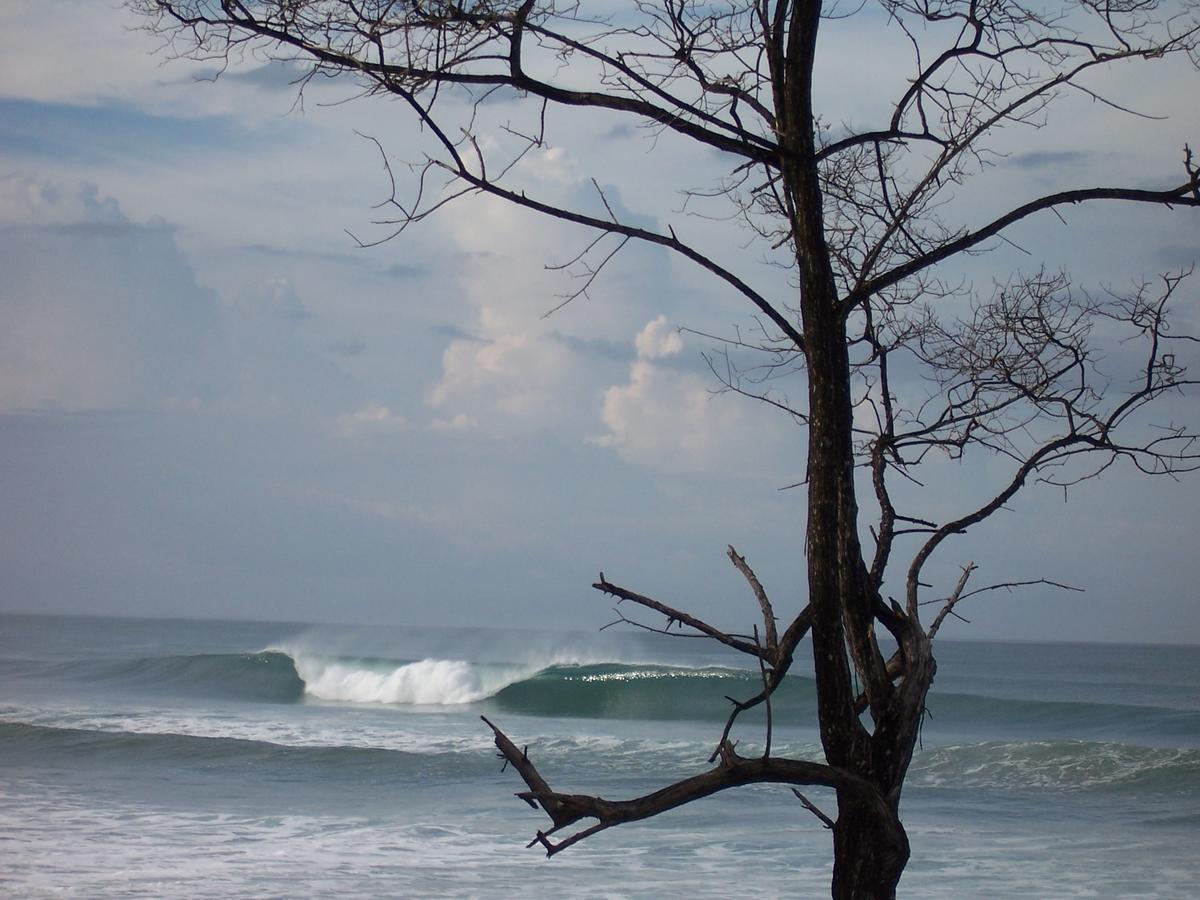 Santa Teresa Surf Vista Villas Playa Santa Teresa  外观 照片