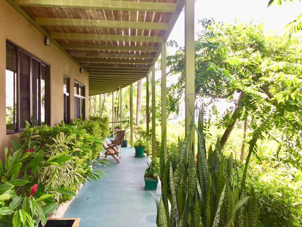 Santa Teresa Surf Vista Villas Playa Santa Teresa  外观 照片